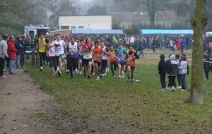 43 ème cross national de la ville de PITHIVIERS le 16 décembre