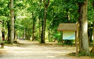 Reconnaissance des parcours de cross au Bois des Gâts le dimanche 06 janvier