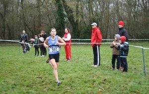 Les classements de la Coupe régionale de cross  avant la dernière échéance