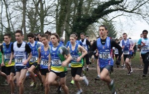 Les régionaux de cross à CHARTRES (revue d’effectifs) 