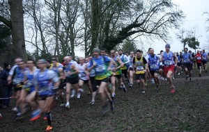 Les départementaux de cross 2014 à PIERRES