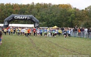 66 engagés au cross National de SERESVILLE pour notre section (mise à jour des listes des engagées, trail et cross)