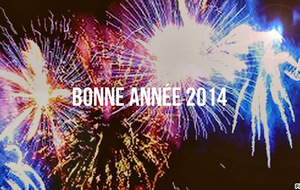 Bonne année 2014