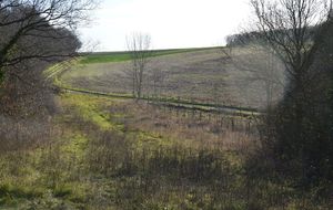 Les départementaux de cross ce dimanche à PIERRES