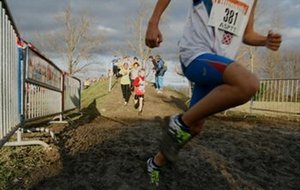 Le cross du collège Albert SIDOISNE