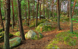 Une sortie rando-course le samedi 30 mai