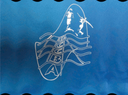 Commande de vêtements de club ERIMA collection RAZOR (bleu roi) 