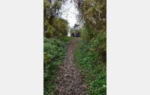 Les premières infos sur les départementaux de cross