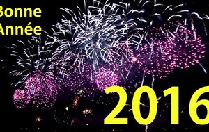BONNE ANNEE 2016 