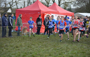 Dimanche les régionaux de cross