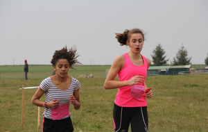 Le cross du collège, photos et résultats
