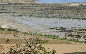 Une Rando Nature pour deux bleus en Bretagne