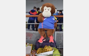 En route pour GIEN sur la finale N3 pour les bleus