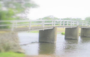 Le trail des Passerelles est maintenu 