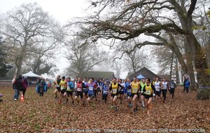 Le cross du Bois des Gâts résultats et photos