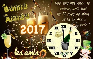 Bonne année 2017