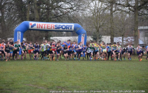 Les régionaux de cross à ORLEANS 