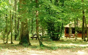  Séance du samedi 04 novembre au Bois des Gâts 