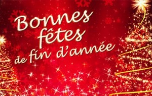 Joyeuses fêtes de fin d'année