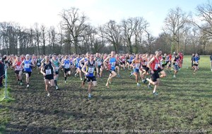 Championnats départementaux de cross