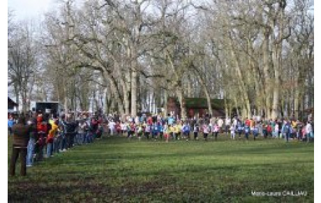 LE CROSS DU BOIS DES GATS