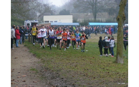 43 ème cross national de la ville de PITHIVIERS le 16 décembre