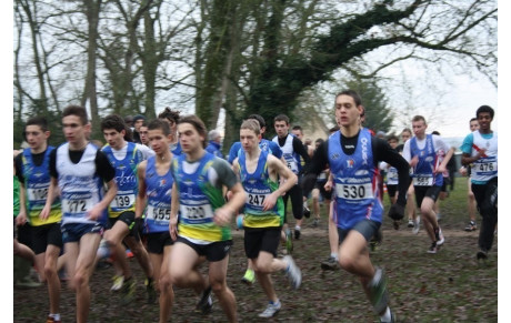 Les régionaux de cross à CHARTRES (revue d’effectifs) 