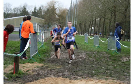 Inter-comités BE-MI : la nouvelle sélection 