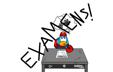 Examen de dirigeant régional 1er degré 2013