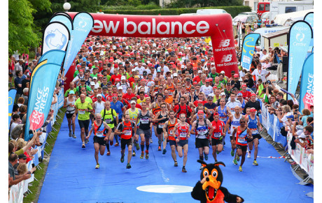 Sur les Traces des Loups