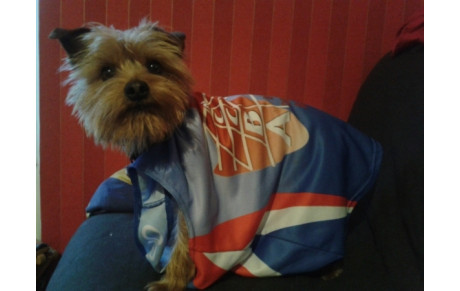 GRIBOUILLE votre mascotte vous invite