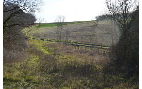 Les départementaux de cross ce dimanche à PIERRES