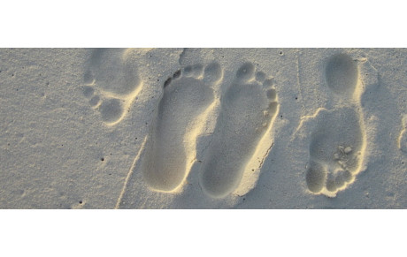 Couper ou non durant l'été? 