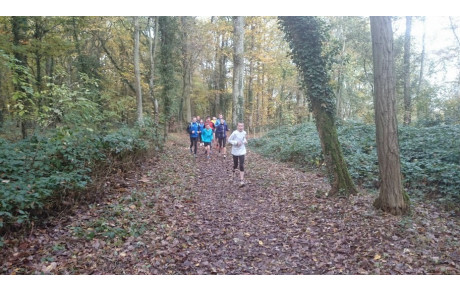 Promenons-nous dans les bois..... 