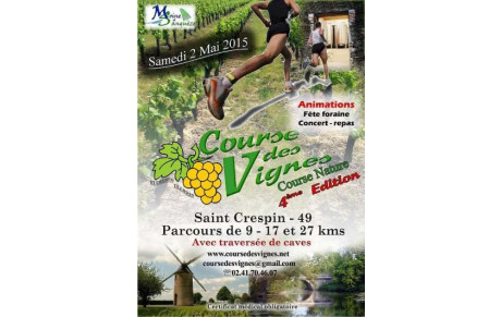 Et un petit tour dans les vignes et les caves