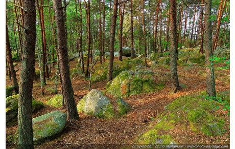 Une sortie rando-course le samedi 30 mai