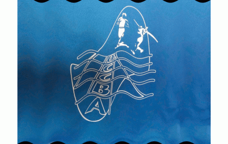 Commande de vêtements de club ERIMA collection RAZOR (bleu roi) 