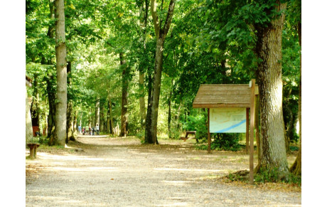 Rappel séance au Bois des Gâts dimanche matin