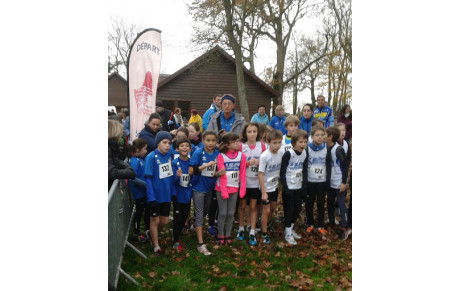 Les premières photos du Bois des Gâts