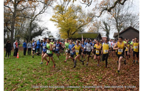 Résultats et photos sur le cross du Bois des Gâts 