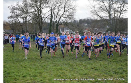 Les sélectionnés en équipe d'Eure-et-Loir de cross pour les intercomités  