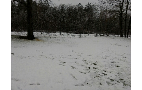 Des nouvelles de l'équipe du Vulcain