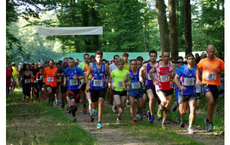 La FORESTIERE ce dimanche, la reprise....