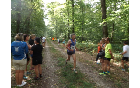 D'autres photos de la Forestière