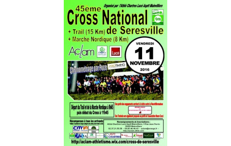 Les forces en présence à SERESVILLE