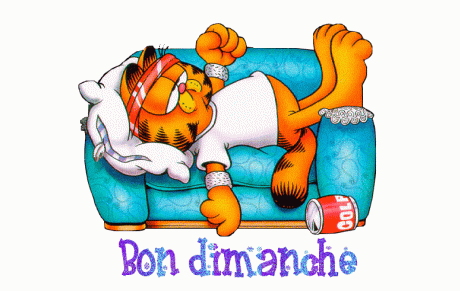 Dimanche cross et salle