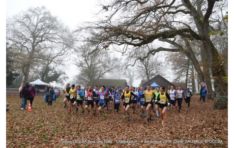 Le cross du Bois des Gâts résultats et photos