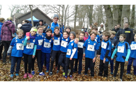 Les EA et PO par Stéphanie 