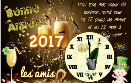 Bonne année 2017