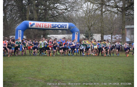Les régionaux de cross à ORLEANS 